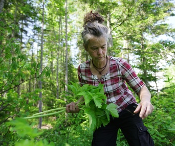 Image du film La famille de la forêt