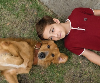 Une scène du film A Dog's Purpose