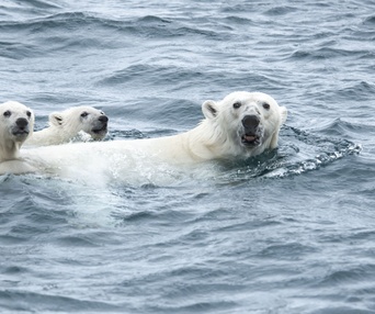 Une scène du film Under Thin Ice