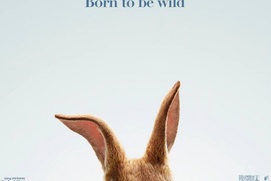Affiche du film Peter Rabbit Affiche du film Peter Rabbit