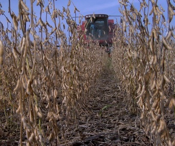 Scène du film Food, inc.