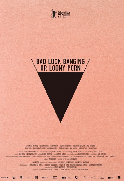 Affiche du film Bad Luck Banging or Loony Porn