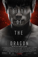Affiche du film Birth Of The Dragon