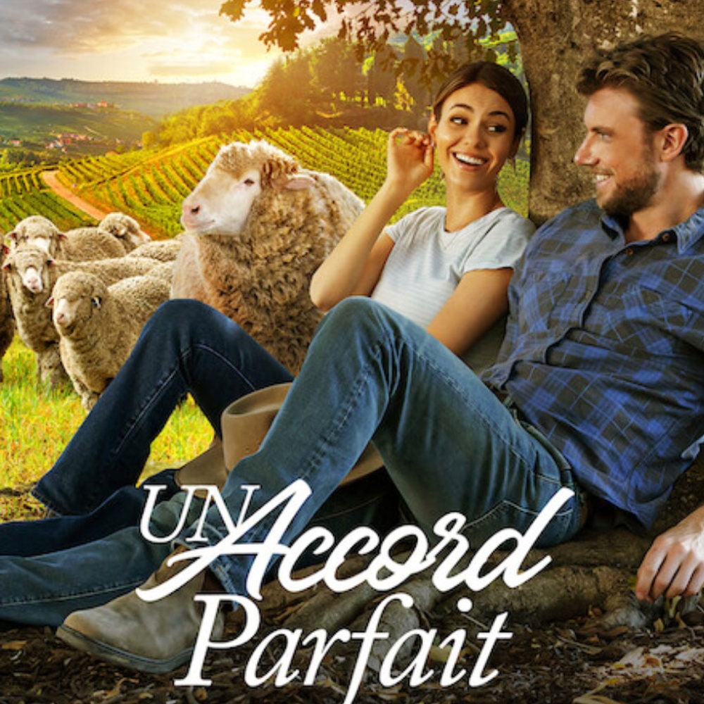 Affiche du film A Perfect Pairin