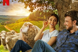 Affiche du film A Perfect Pairin