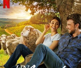 Affiche du film A Perfect Pairin