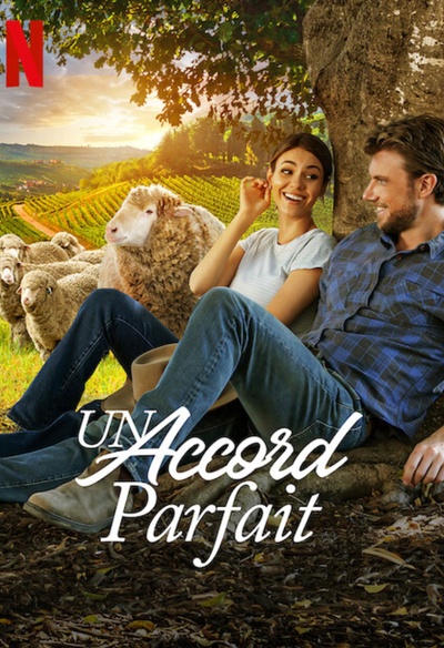Affiche du film A Perfect Pairin
