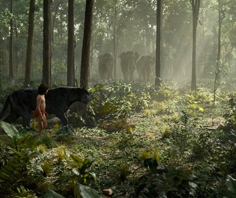 Une scène du film The Jungle Book