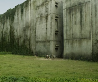 Une scène du film The Maze Runner