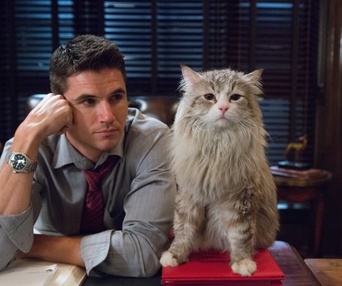 Une scène du film Nine Lives