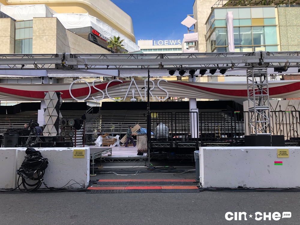 Tapis rouge des Oscars 2019