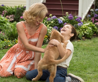 Une scène du film A Dog's Purpose