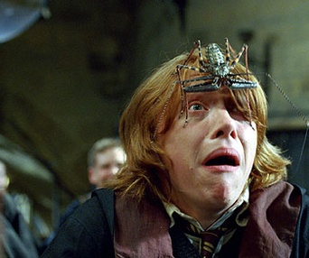 Scène du film Harry Potter et la coupe de feu