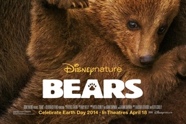 Affiche du film Bears