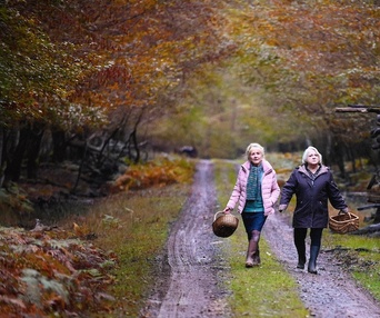 Image du film Quand vient l'automne