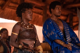 Image du film The Woman King Image du film The Woman King