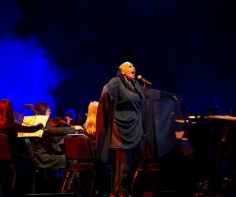 Histoires sans paroles – Harmonium symphonique (Tapis rouge et spectacle)