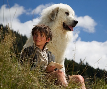 Une scène du film Belle et Sébastien 2, l'aventure continue