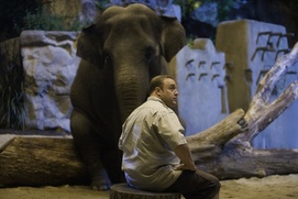 Une scène du film Zookeeper Une scène du film Zookeeper