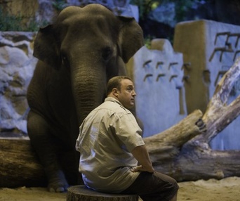 Une scène du film Zookeeper
