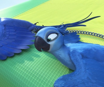 Une scène du film Rio