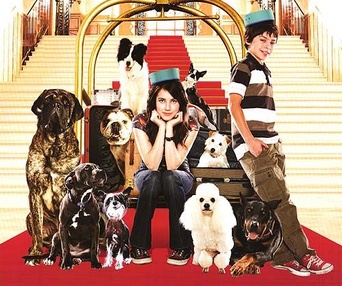 Affiche du film Hotel for Dogs