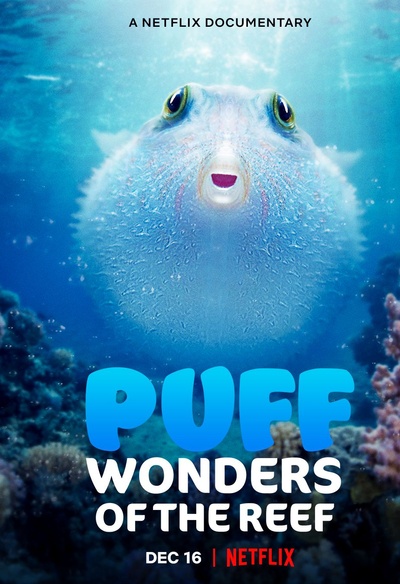 Affiche du film Puff: Wonders of the Reef