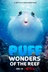 Affiche du film Comme un poisson dans son récif