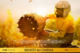 Affiche du film Honeyland Affiche du film Honeyland