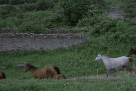Une scène du film Sous un même soleil Une scène du film Sous un même soleil