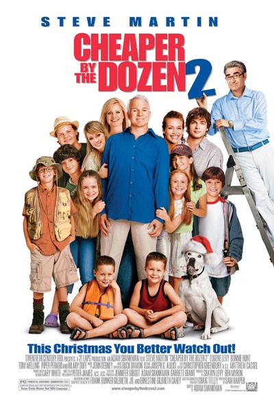 Affiche du film Cheaper by the Dozen 2