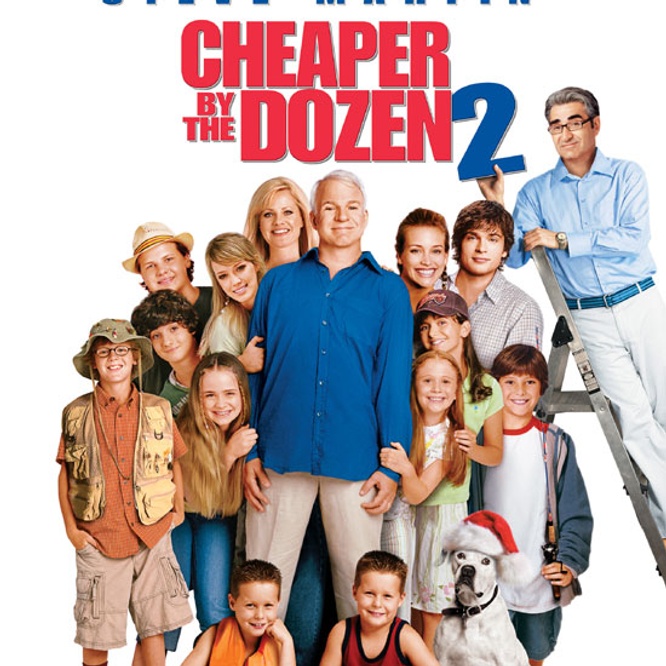 Affiche du film Cheaper by the Dozen 2