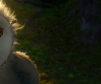 Une scène du film Legend of the Guardians: The Owls of Ga'Hoole