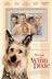 Affiche du film Winn-Dixie