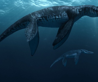 Une scène du film Sea Rex: Journey to a Prehistoric World 3D