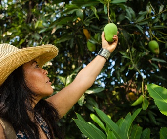 Une scène du film The Fruit Hunters