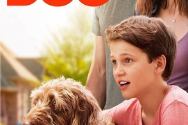 Affiche du film Think Like A Dog Affiche du film Think Like A Dog