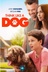 Affiche du film Think Like A Dog