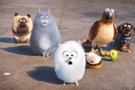 Une scène du film The Secret Life of Pets Une scène du film The Secret Life of Pets