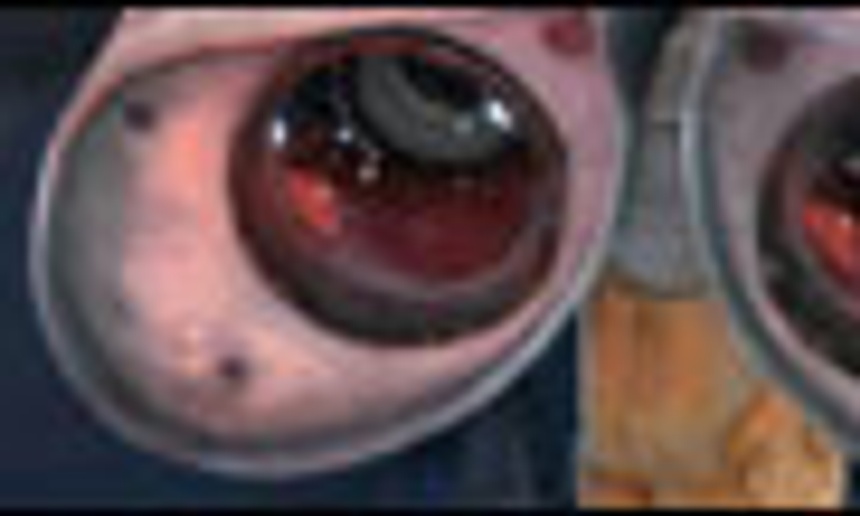 Bande-annonce du film d'animation Wall-E