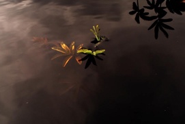 Image du film Archéologie de la lumière
