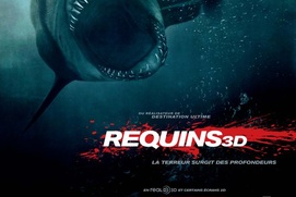 Affiche du film Requins 3D Affiche du film Requins 3D