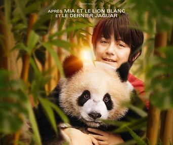 Affiche du film Moon le panda