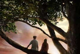 Affiche du film Flipped