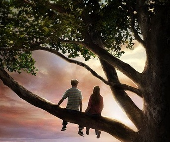 Affiche du film Flipped