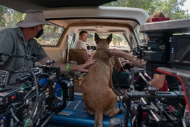 Une scène du film Dog