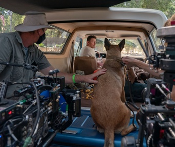 Une scène du film Dog