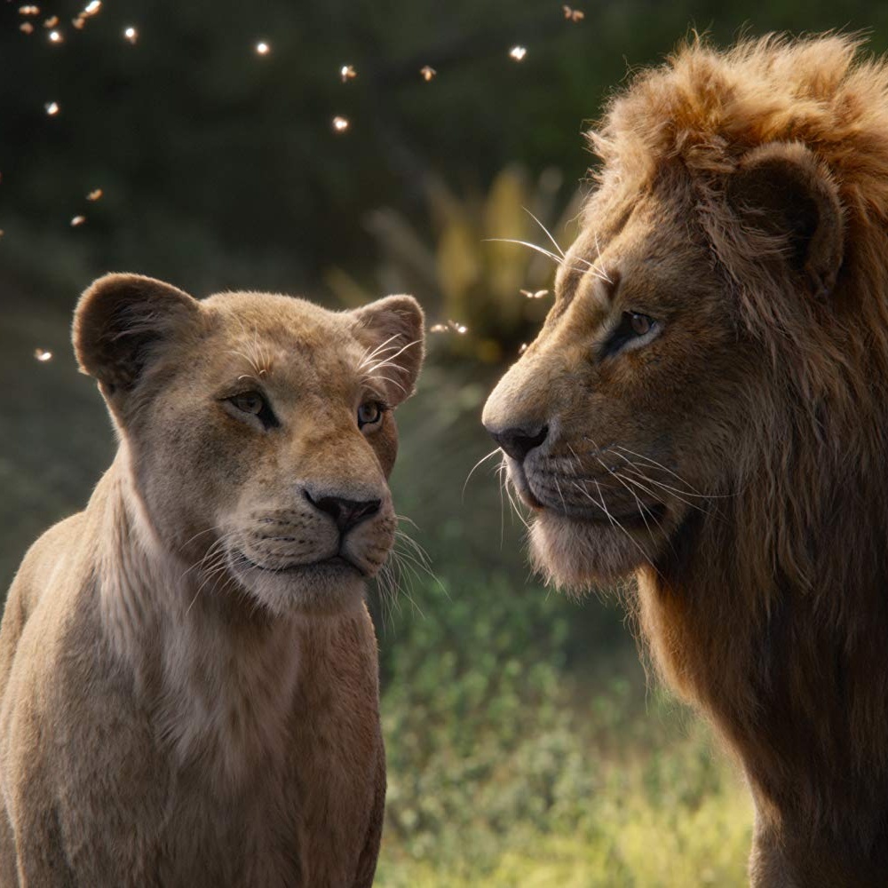 Une scène du film The Lion King