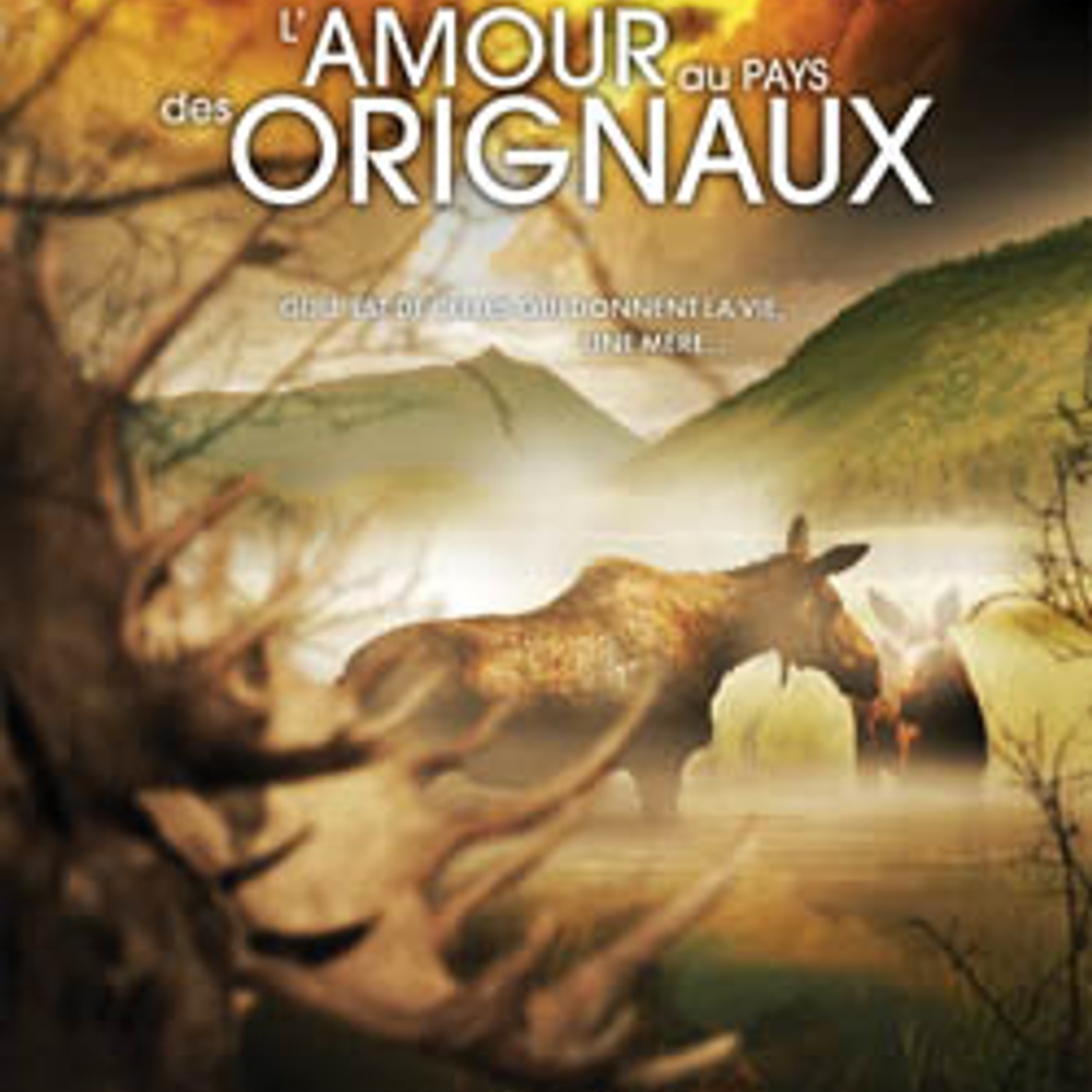 Affiche du film L'amour au pays des animaux