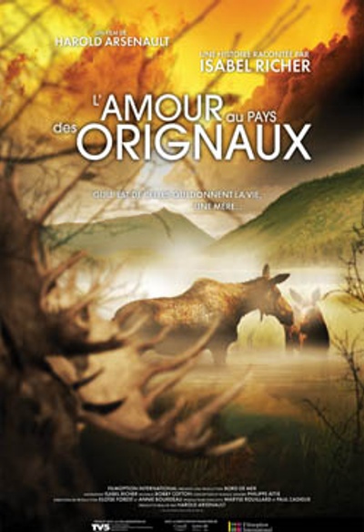 Affiche du film L'amour au pays des animaux